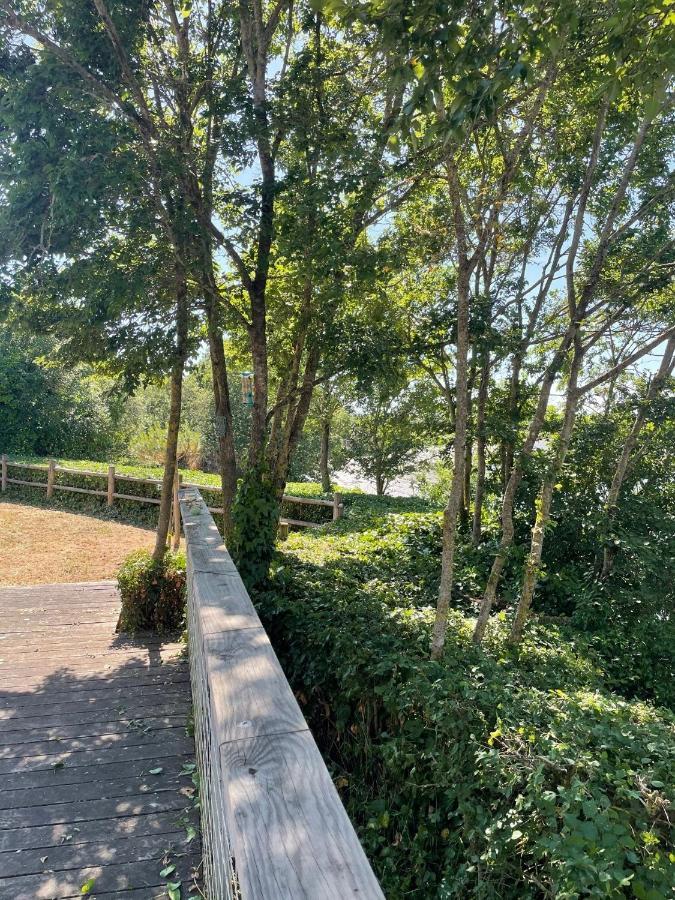 Maison En Bord De Riviere De Mer Le Fenouiller ภายนอก รูปภาพ